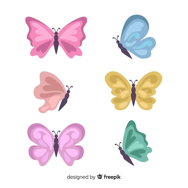 Flat butterfly collection