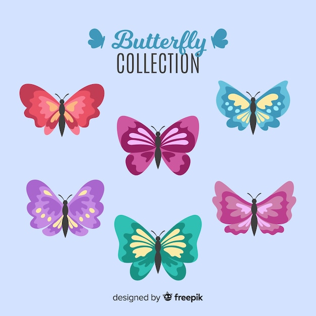 Flat butterfly collection