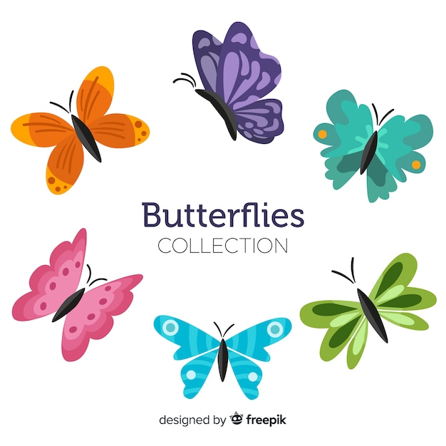 Flat butterfly collection