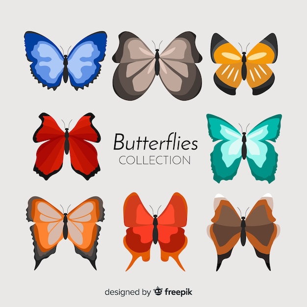 Flat butterfly collection