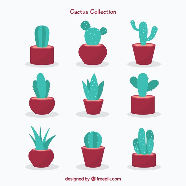 Flat cactus with original style