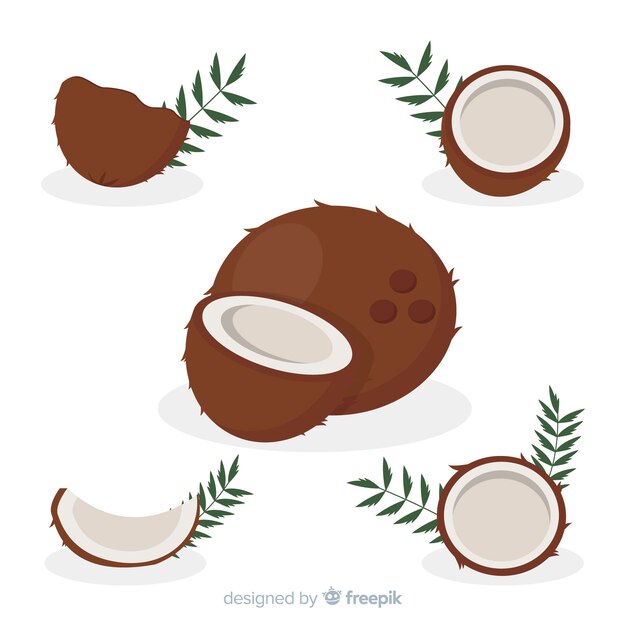 Flat coconut illustration