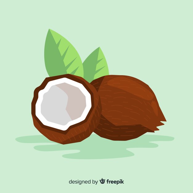 Flat coconut illustration