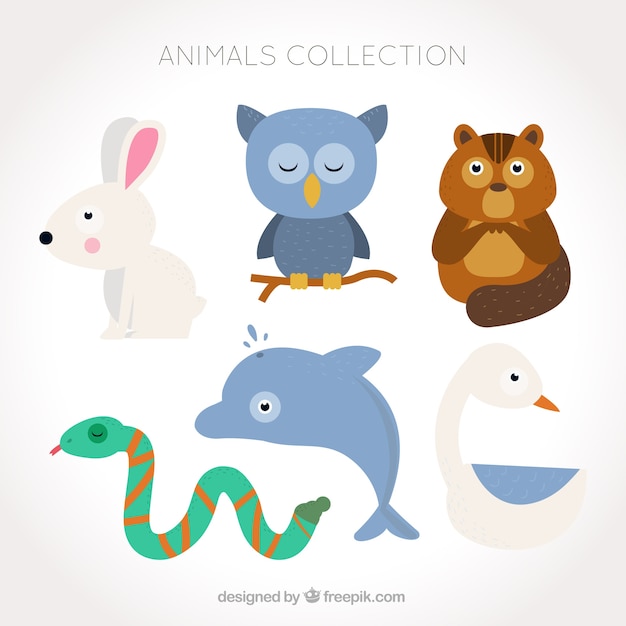 Flat collection of cute animals