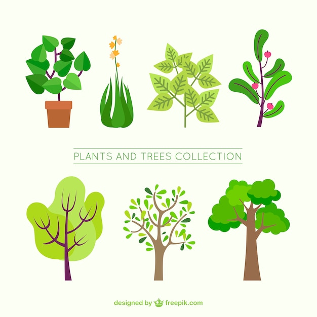 Flat collection of decorative trees and plants