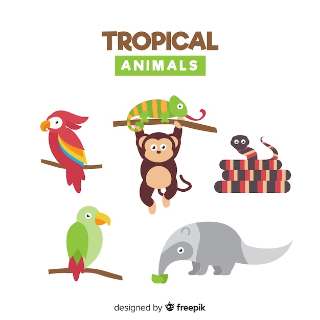 Free vector flat collection of exotic animals