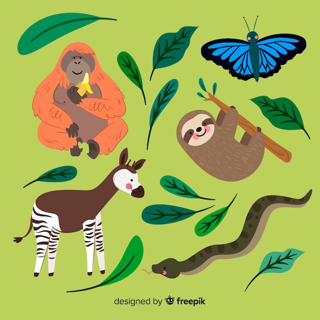 Free Vector flat collection of exotic animals