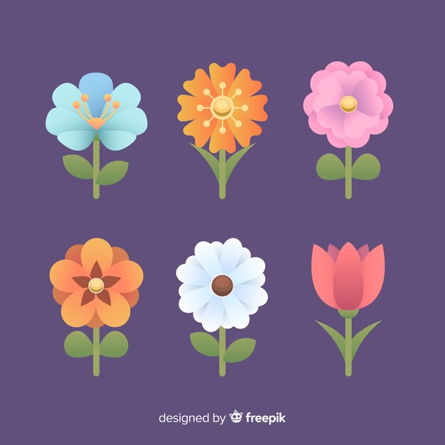 Flat colorful flower set