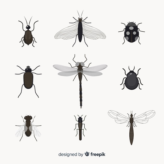 Free vector flat colorless insect pack