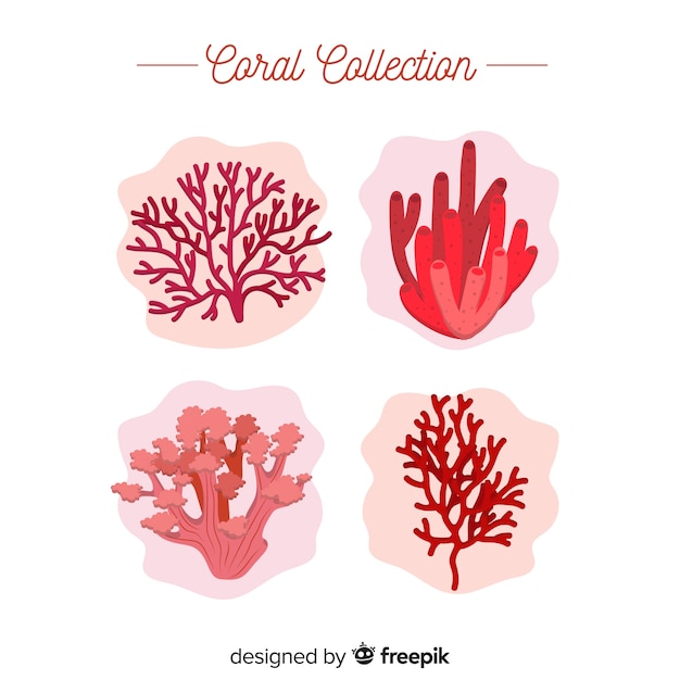 Free Vector flat coral collection