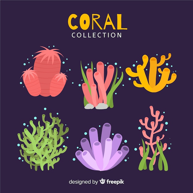 Flat coral collection