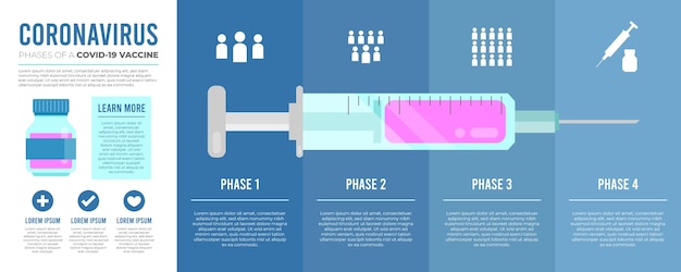 Free Vector flat covid19 vaccine phases infographic