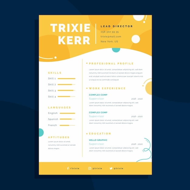 Flat curriculum vitae template