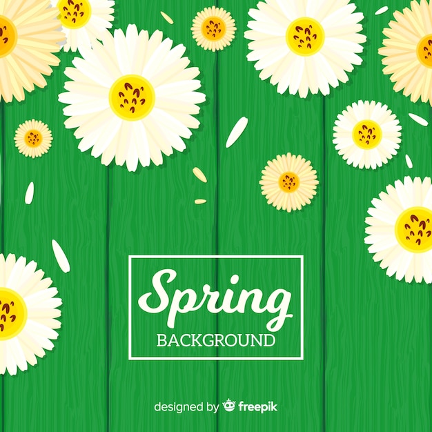 Free Vector flat daisies spring background