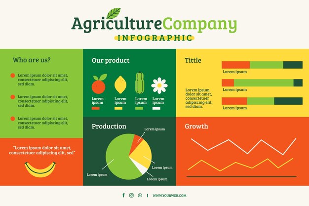 Flat design agriculture company infographic