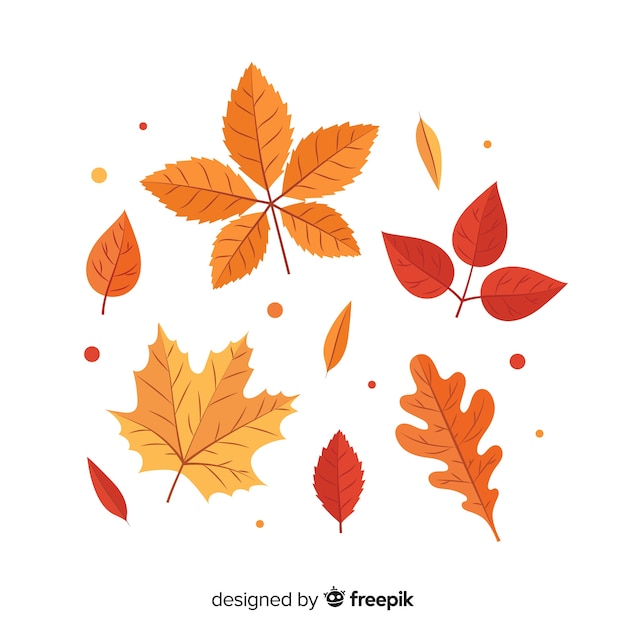 Free vector flat design autumn leaves collection