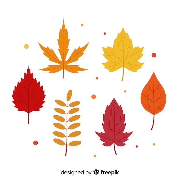 Free Vector flat design autumn leaves collection