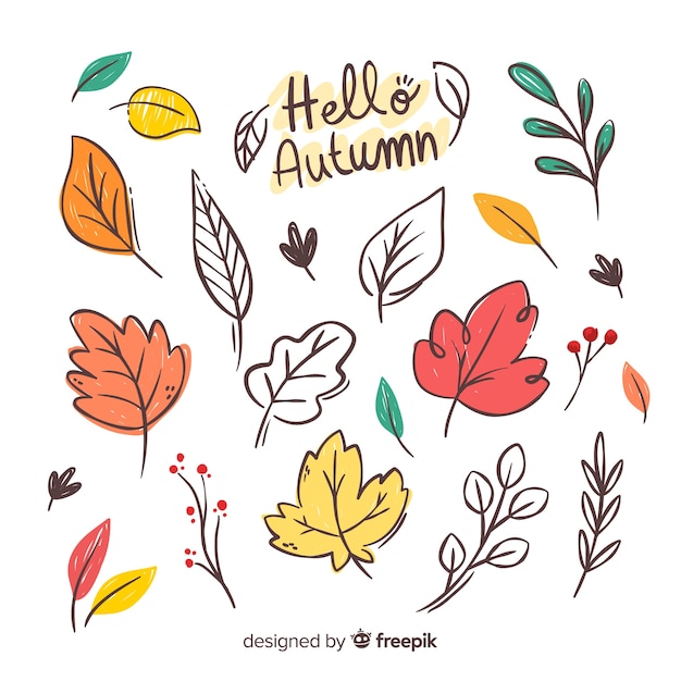 Flat design autumn leaves collection