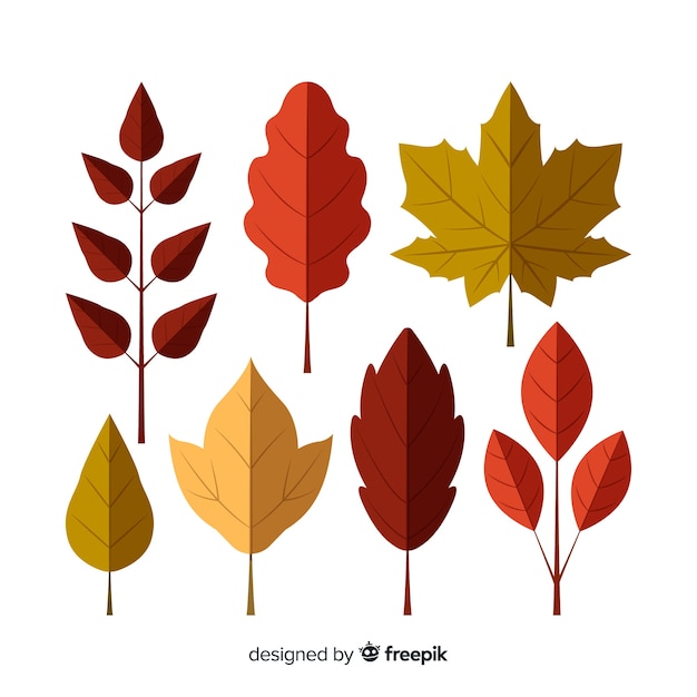 Flat design autumn leaves collection