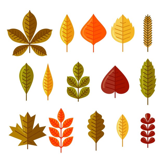 Flat design autumn leaves collection