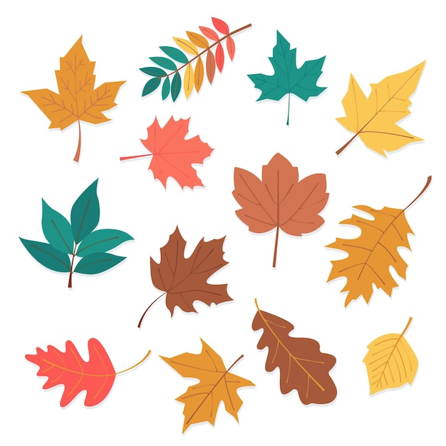 Free vector flat design autumn leaves collection