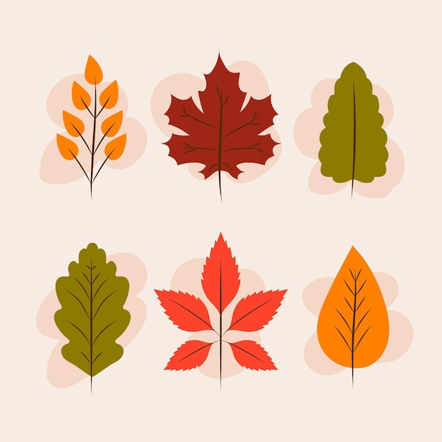 Flat design autumn leaves pack