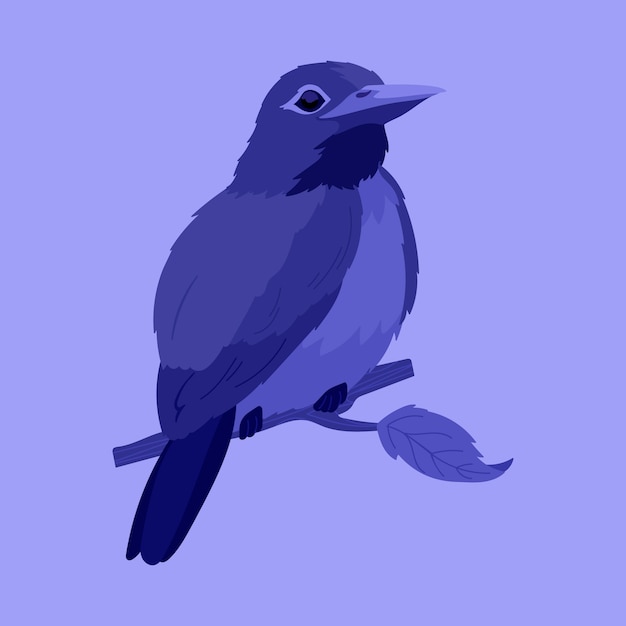 Free Vector flat design bird illustration