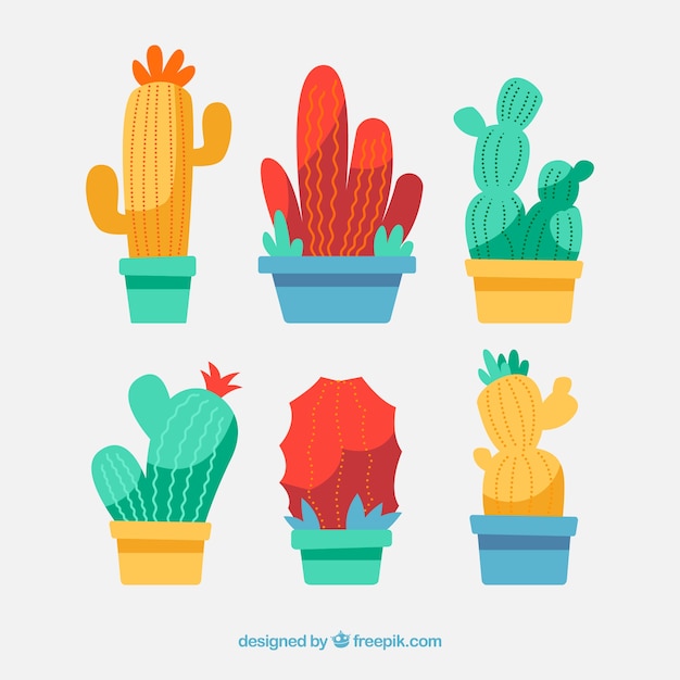 Flat design cactus collection