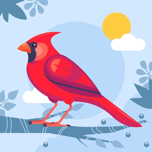 Free vector flat design cardinal bird illustration