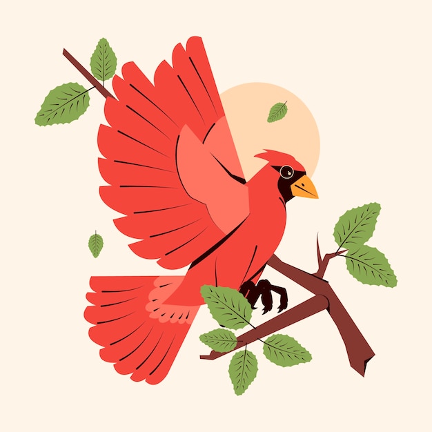 Flat design cardinal bird illustration