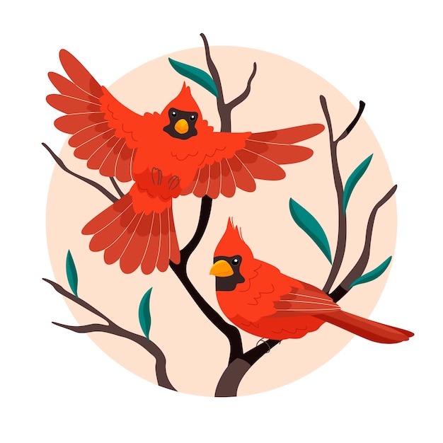 Free vector flat design cardinal bird illustration