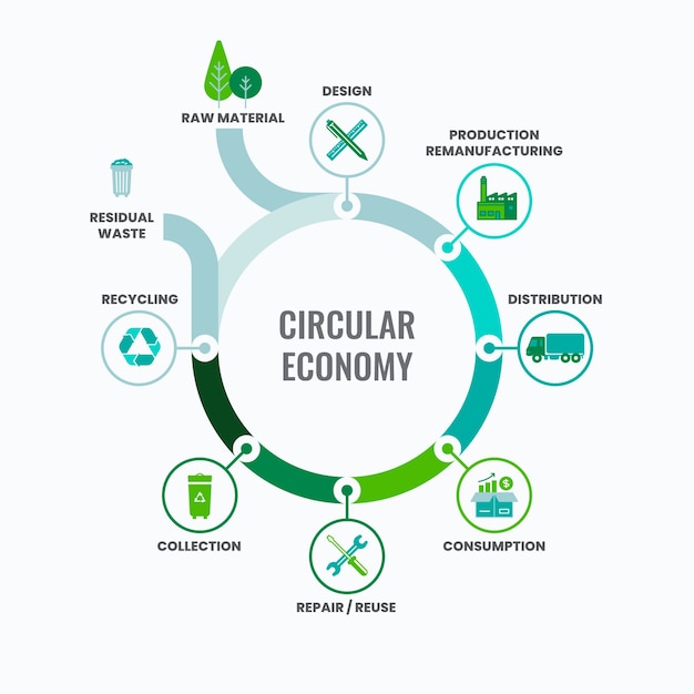 Free vector flat design circular economy infographic