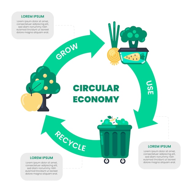 Flat design circular economy infographic