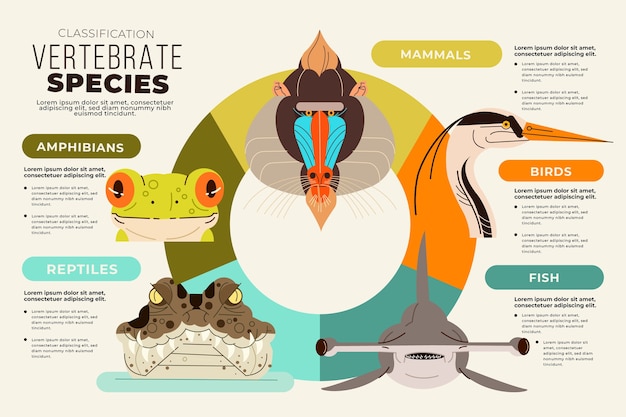 Flat design classification of animals infographic