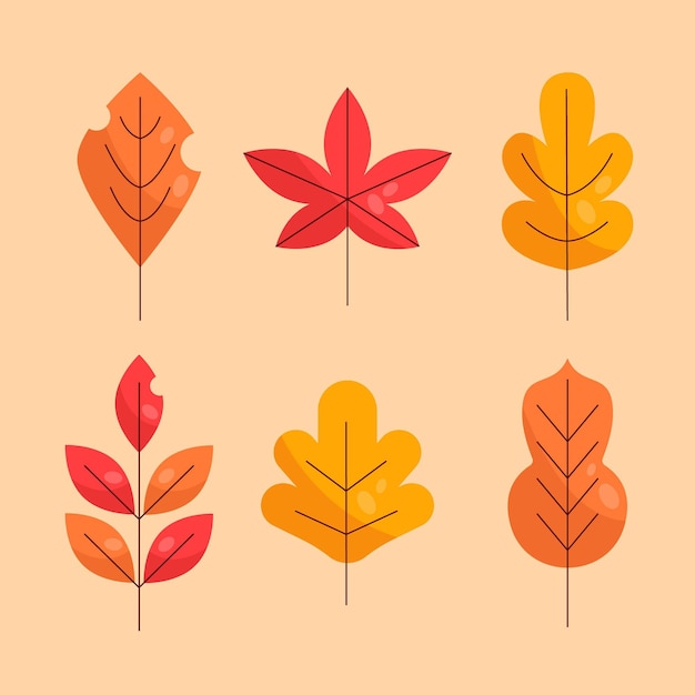 Flat design of colorful leaves