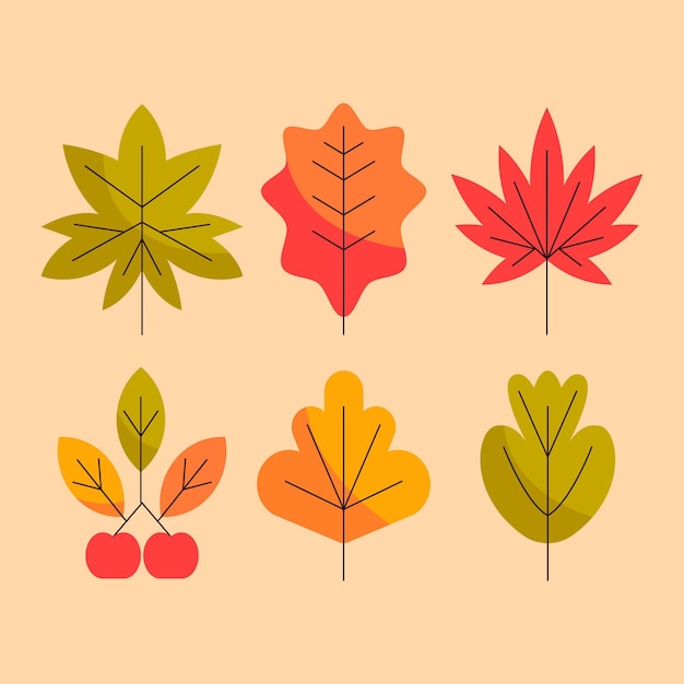 Flat design of colorful leaves