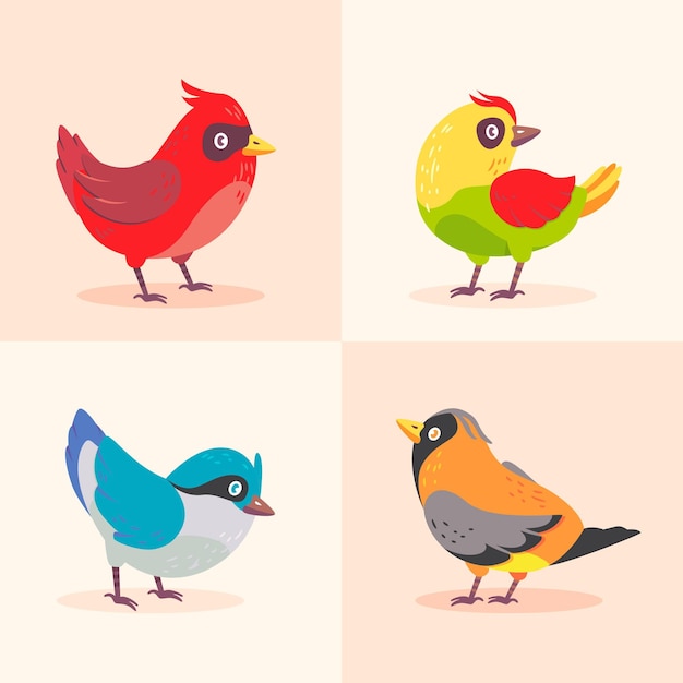 Flat design colorful robin collection