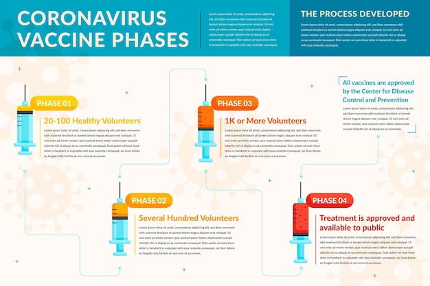 Flat design coronavirus vaccine phases infographic