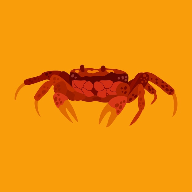 Flat design crab illustration