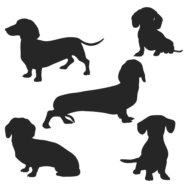 Free Vector flat design dachshund silhouette illustration