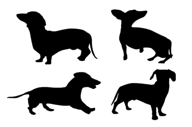 Free Vector flat design dachshund silhouette