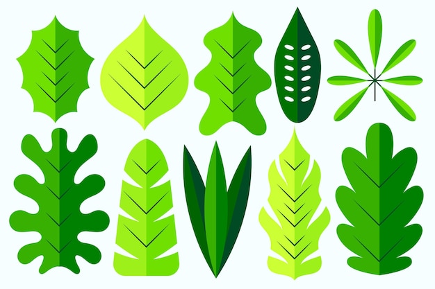 Flat design different green leaves pack