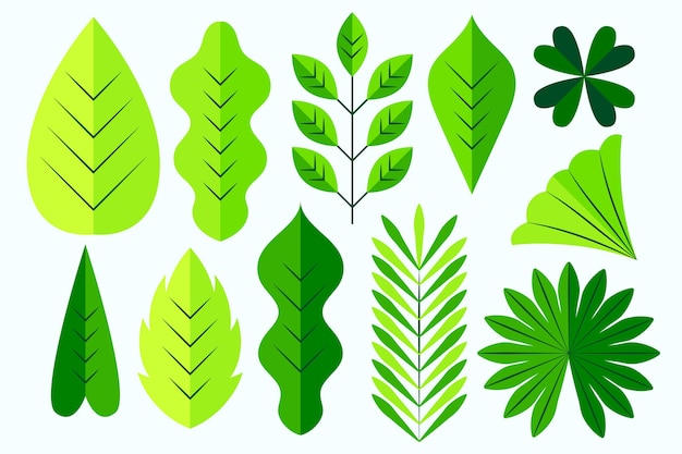 Flat design different green leaves