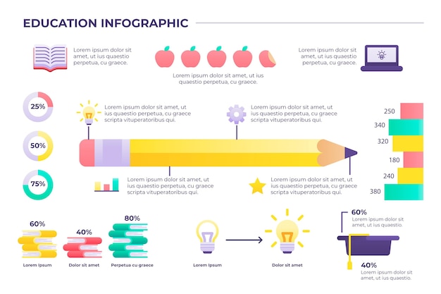 Flat design education infographic