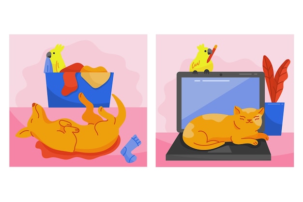 Free Vector flat design everyday scenes with pets