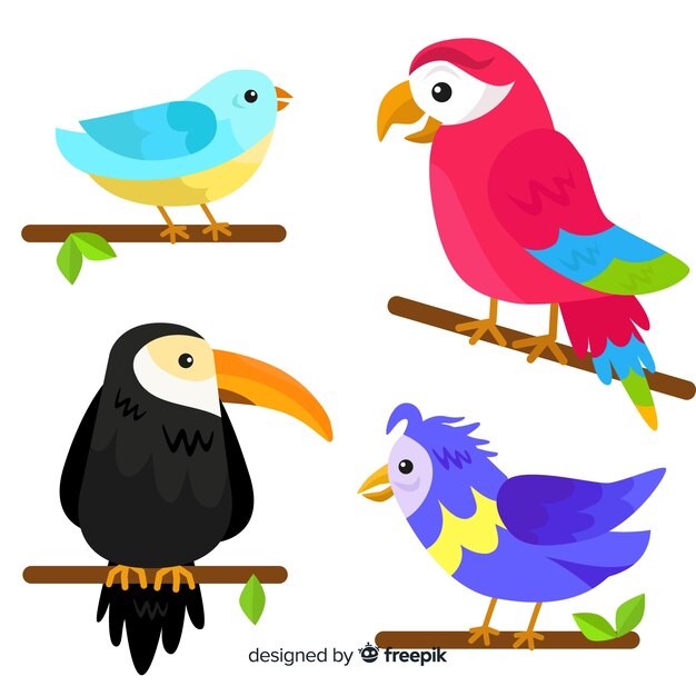 Flat design exotic birds collection