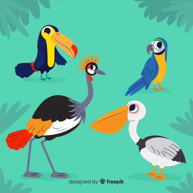 Free vector flat design exotic birds collection