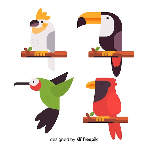 Free Vector flat design exotic birds collection