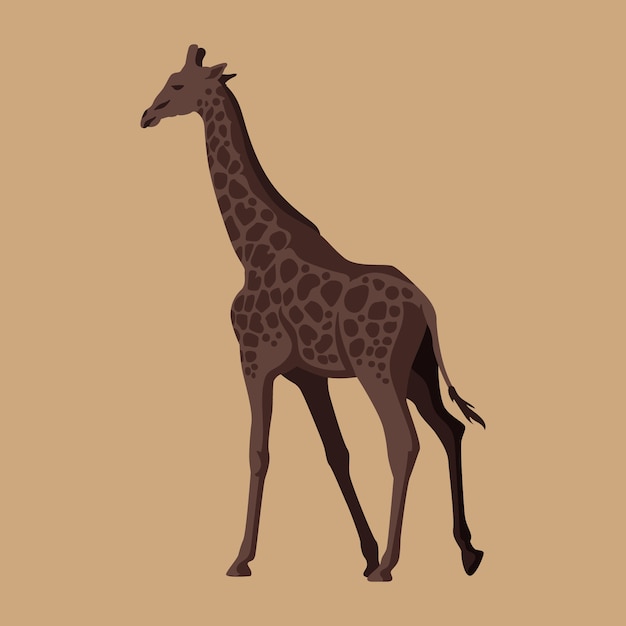 Flat design giraffe illustration