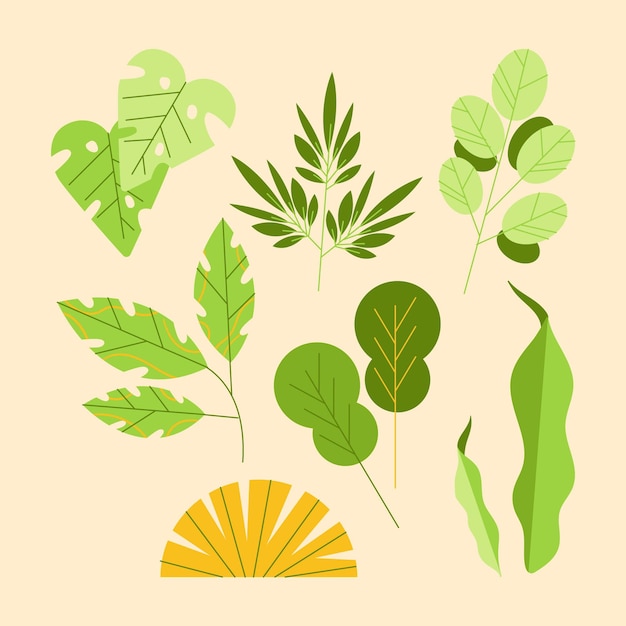 Flat design green leaves collection